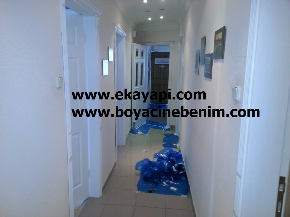 Amerikan Panel Kapı Boyası